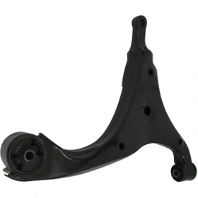 طبق جلو راست چانگان ایدو (Eado)