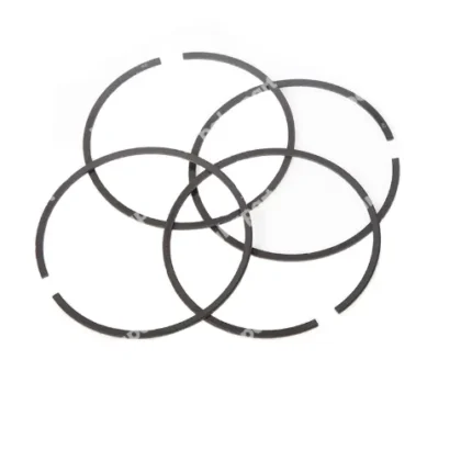 رینگ موتوراصلی کوپا ریگان